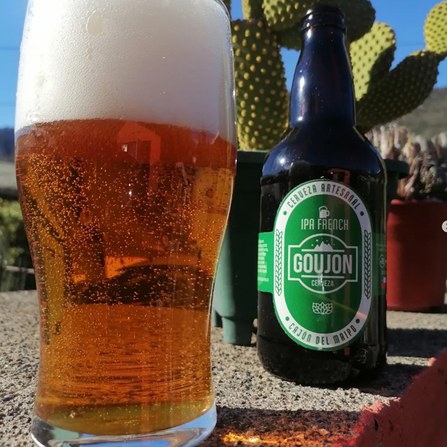 IPA French